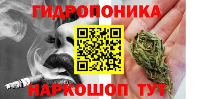 apvp Севастополь
