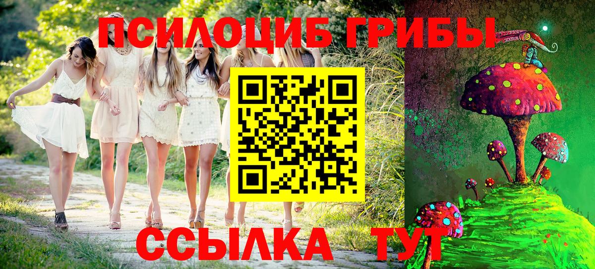 Моздок  Псилоцибиновые грибы GOLDEN TEACHER  Вход с VPN 