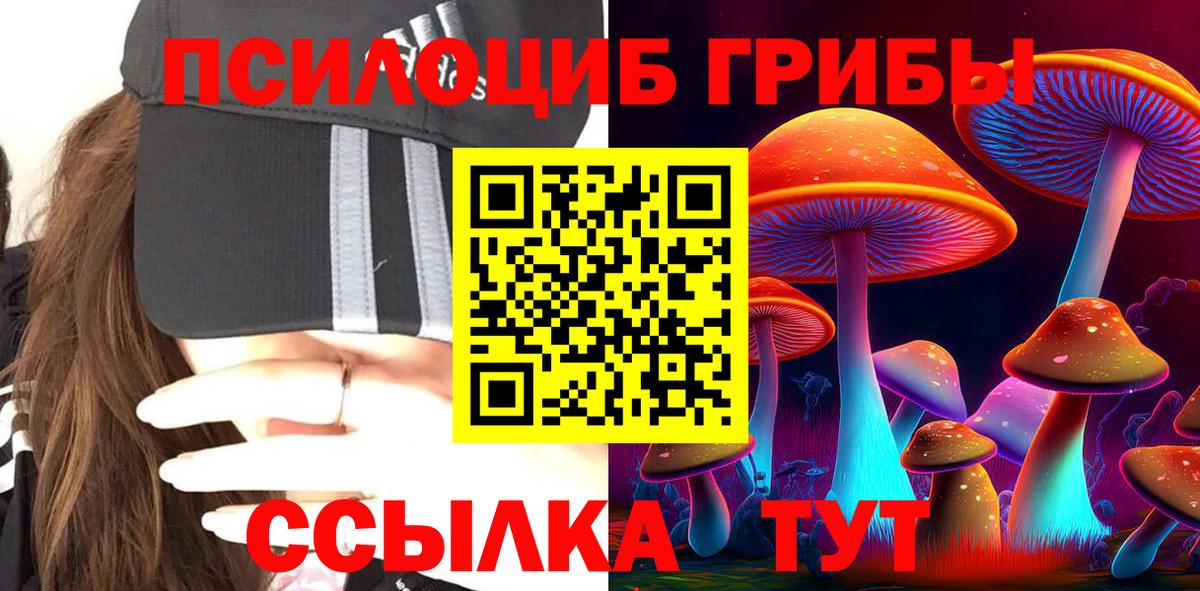 Псилоцибиновые грибы Psilocybine cubensis Моздок
